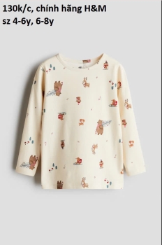 áo dài tay noen H&M bé trai