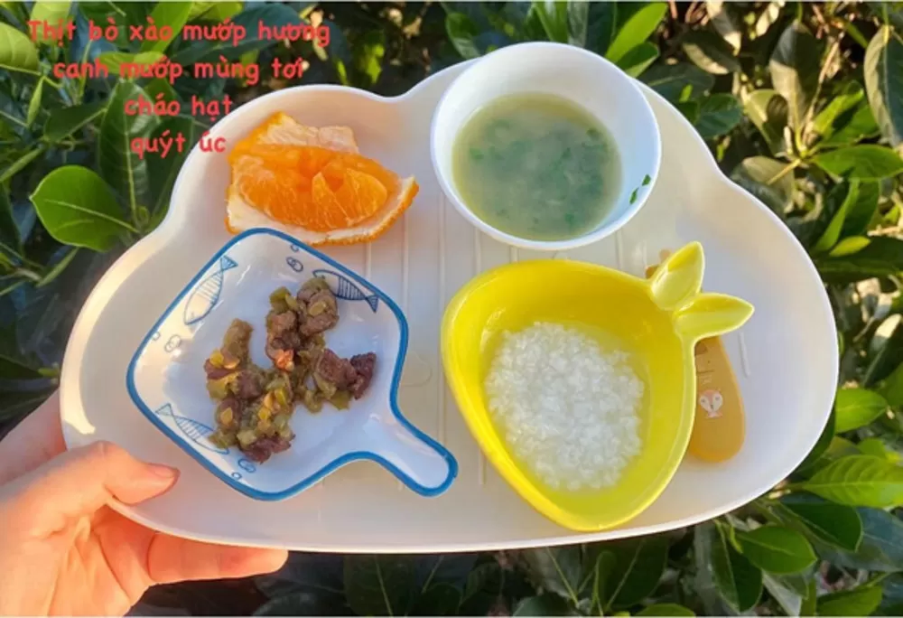 Mẹ nên cho trẻ ăn dặm theo phương pháp nào?