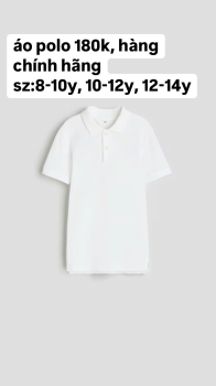 áo polo hàng chính hãng H&M